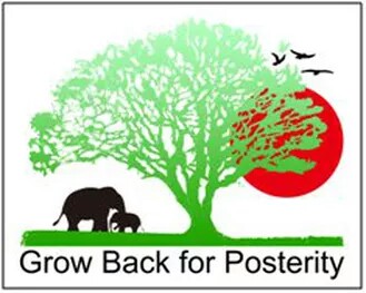 Grow Back Myanmar